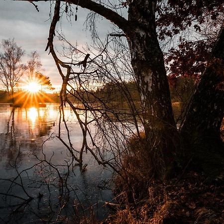 Готель Fischhof Beer Mitterteich Екстер'єр фото