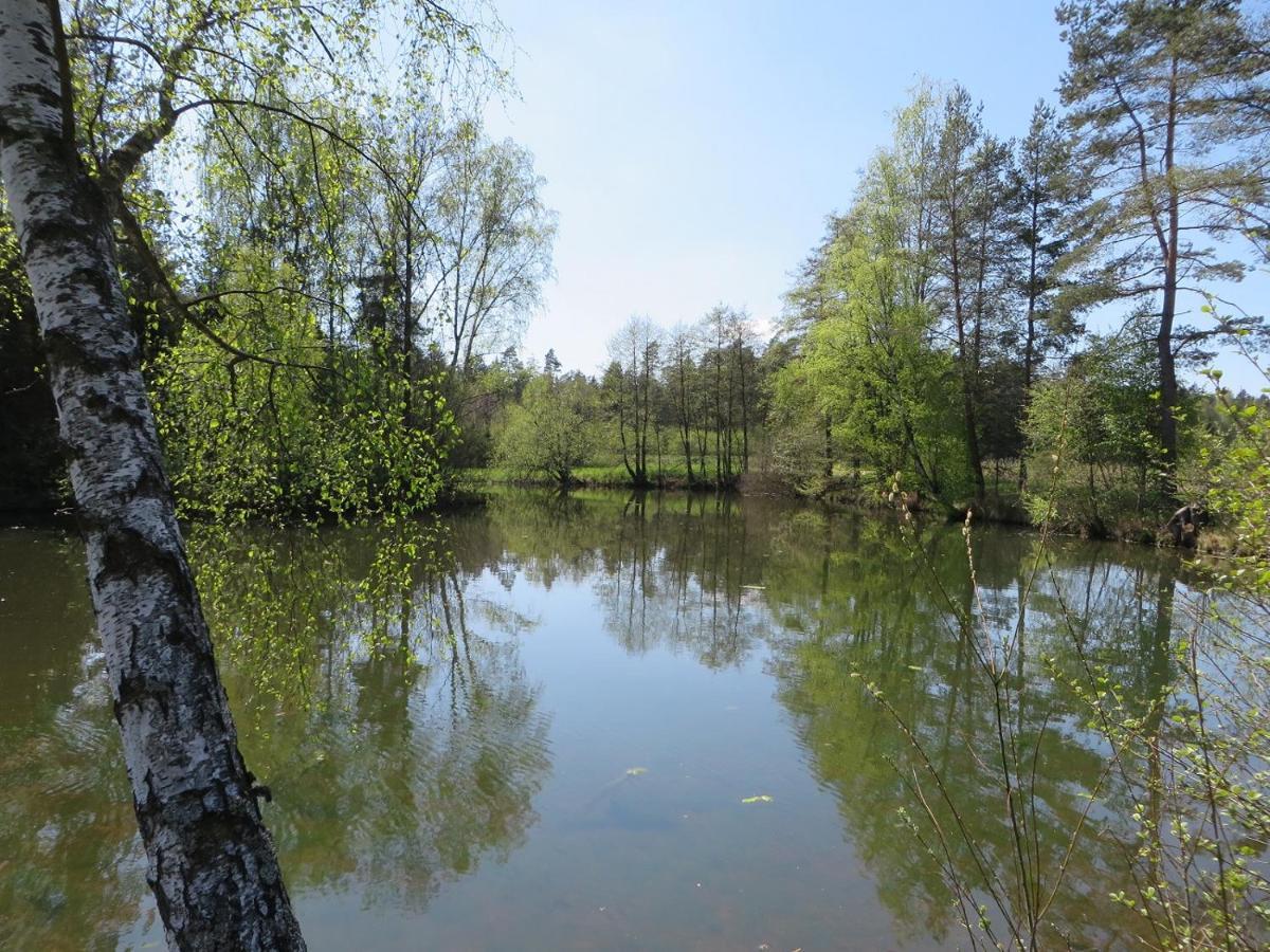 Готель Fischhof Beer Mitterteich Екстер'єр фото